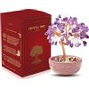 WEILAOK Albero della Vita di Quarzo Rosa, Pietre Chakra Oggetti, Soprammobile Portafortuna, Feng Shui Pietre e Cristalli, Meditazione Reiki Oggetti per Decorazione della Casa Regali di Compleanno