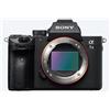 Sony ? 7 Iii Milc Body 24.2 Mp ILCE7M3B.CEC