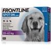 Frontline spot on per cani grandi - 4 pipette