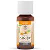 SAN.ECO.VIT. Srl Ginjer Original Lemon Pharma Gocce 20ml