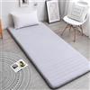 DSAoTeng Materasso da letto giapponese per letto singolo, in tinta unita, pieghevole, morbido, in spugna, per affitto, casa, dormitorio, campeggio, letto degli ospiti, tatami (grigio (5 cm di spessore), 90 x