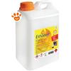 Ethaline Bioetanolo Liquido per Camini e Stufe - Confezione Da 2 Lt
