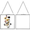 JUXYES Set di 2 cornici portafoto in ottone da appendere alla parete, in vetro, per esporre opere d'arte con fiori pressati, doppia cornice galleggiante in vetro, cornice quadrata da parete per foto,