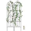 VEVOR Traliccio da Giardino Rampicanti per Piante Fiori in Metallo Antiruggine, Supporto per Traliccio per Rose Rampicanti Esterno, Traliccio Decorativo per Clematide Alta Cortili 51 x 220 cm 2 Pezzi