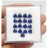 colori di gemme Lotto 17 pezzi cianite blu reale naturale qualità AAA trilioni taglio cianite...