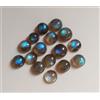 colori di gemme 27,44 Ct Natural Round Labradorite Cabochon AAA Multi Flash Lotto Gemme Sciol...