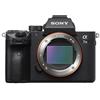 Sony 7 III + FE 24-105 mm F4 G OSS MILC 24,2 MP CMOS 6000 x 4000 Pixel Nero