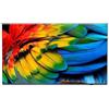 TPV Philips 65HFL6214U-12 Tv Led 65'' 4K Ultra Hd Wi-Fi Antracite