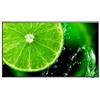 Nec E Series MultiSync E438 Pannello Piatto per Segnaletica Digitale 42.5'' Lcd