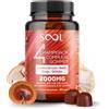 SOOL Gommose al Complesso di 4 Funghi, 2000 mg, 60 pezzi: Chaga, Reishi, Shiitake e Criniera di Leone (Lion's Mane) | Nootropici | Integratore per la Memoria