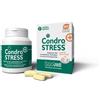 Innovet - Condrostress Nuova Formula - 60 Compresse