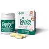 Innovet - Condrostress Nuova Formula - 30 Compresse