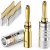 deleyCON 24 Pezzi Connettori a Banana Come Set - Placcato Oro Avvitabile per Cavo per Altoparlanti 0,75 mm - 4,5 mm & ad Esempio HiFi Ricevitore - Argento
