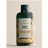 The Body Shop GINGER shampoo 250 ml