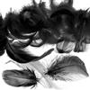 Mbsomnus 600 Pezzi Piume Nero 5-12 cm Piume Decorative per Lavoretti DIY Artigianato Costumi Cappelli Orecchini Sogni Catturati Festival Matrimonio Compleanno Decorazioni