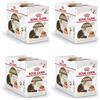 Royal Canin Ageing 12+ in salsa | Confezione da 4 | 4 x 12 x 85 g | Alimento completo per gatti anziani a partire dai 12 anni | Può sostenere la salute dei reni e delle articolazioni
