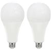 Area illumina, Lampadina LED E27 A90, 28W, 3 Temperature Colore (6500K/4000K/3000K), 3175 Lumen, 180°, 90x185mm (2, Luce Fredda 6500k 3175 Lumen)