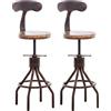 CLP Set di 2 sgabelli da Bar Hanam dal Design Industriale I Sgabello da Bar in Metallo Regolabile in Altezza con Seduta e Schienale in Legno, Colore:Bronzo