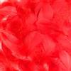 Mbsomnus 600 Pezzi Piume Rosso 5-12 cm Piume Decorative per Lavoretti DIY Artigianato Costumi Cappelli Orecchini Sogni Catturati Festival Matrimonio Compleanno Decorazioni