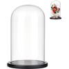 NBEADS Cupola di la Cloche con Display in Vetro, con Cupola in Vetro Trasparente con Base in Legno Nero per Decorazioni Centrotavola da Tavolo per Ufficio e Casa da Collezione, 15x25.5cm