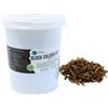 PlantasAcuario Larva Black Soldier Fly Piante Acquario 500 ml, Cibo a base di insetti 100% naturale per pesci, pollame e rettili Ricco di proteine e vitamine