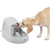 PetSafe Drinkwell Platinum - Fontana d'acqua per cani e gatti, fontanella automatica per animali domestici, 4762,7 g, grigio