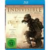 GREAT MOVIES Indivisible - Die Schattenseiten des Krieges