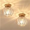 Pheashine Lampada da Soffitto in Cristallo Metallo 2 Pezzi Plafoniere Moderne Oro, E27 Lampadari Soffitto per Soggiorno, Camera, Corridoio