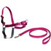 PetSafe Easy Walk - Pettorina Anti-Tiro per Cani, per l'Addestramento, Impedisce al Cane di Tirare e Strozzarsi - Lampone, M