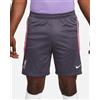 nike Liverpool Fc Nike Pantaloncini Shorts Antracite Dry Strike Training 2023 24