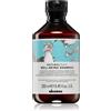 Davines Naturaltech Well-Being Shampoo 250 ml