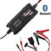 ALCAPOWER CARICABATTERIA SWITCHING 6A 6V/12V PER BATTERIE DA 1,2AH A 120AH LIFEPO4 SX-1-ALC702907