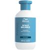 Wella professional invigo balance scalp deep cleansing shampoo