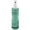 Laufwunder Lozione Deodorante Spray No-Gas Per Piedi Con Eccessiva Sudorazione 120 Ml