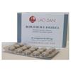 BUPLEURUM ANGELICA 60 CAPSULE