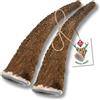 ChronoBalance-S Corno di Cervo per Cani, Confezione da 2, 100% Naturale, Pezzi Interi, Cura Dentale, Giocattolo per Cani, Ricco di Minerali e Nutrienti, Lunga Durata