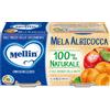 DANONE NUTRICIA SpA SOC.BEN. Mela Albicocca Mellin 2x100g