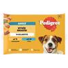 PEDIGREE Adult Scelte di Gusto bustine 4x100 g cibo umido completo per cani adulti con pollo, con pesce in gelatina
