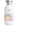 WELLA PROFESSIONALS ColorMotion Shampoo 250ml