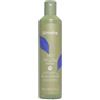 ECHOSLINE No Yellow Shampoo Vegan 300ml