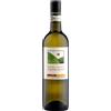 Matteo Correggia Roero Arneis DOCG 2024 - Matteo Correggia (tappo a vite) - 0.75L