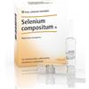 Heel Selenium Compositum 10 Fiale