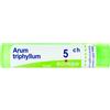 BOIRON SRL ARUM TRIPHYLLUM 5CH 80GR 4G
