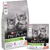 Purina Pro Plan Sterilised Kitten Optistart con Salmone - Purina - Pro Plan Sterilised Kitten Optistart con Salmone - 1,50KG
