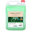 Intercabo Shampoo Professionale all'Eucalipto - Tanica da 5 litri - Rinfrescante per uso frequente - Per capelli normali e grassi - Per hotel, palestre, spa, campeggi e strutture ricettive