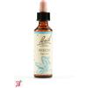 SCHWABE PHARMA ITALIA Srl BEECH BACH ORIG 20 ML