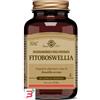 SOLGAR IT. MULTINUTRIENT SPA FITOBOSWELLIA 60 CAPSULE VEGETALI