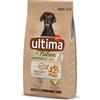 Affinity Ultima 6 + 1 kg / 10, 12, 16 + 2 kg gratis! 7 kg / 12 kg / 14 kg / 18 kg Ultima Crocchette per cani - 7 kg Nature Medium/Maxi Pollo (6 + 1 kg gratis!)