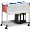 Durable 378410 - Carrello per documenti, acciaio antigraffio, per archiviare cartelle sospese, raccoglitori sospesi a leva, 750x715x432 mm, grigio
