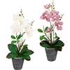 Flair Flower Orchidea artificiale, 40 cm, con foglie in vaso, orchidea artificiale, orchidea artificiale, fiore Phalaenopsis con vaso, pianta artificiale, decorazione per matrimonio, fiore di seta,